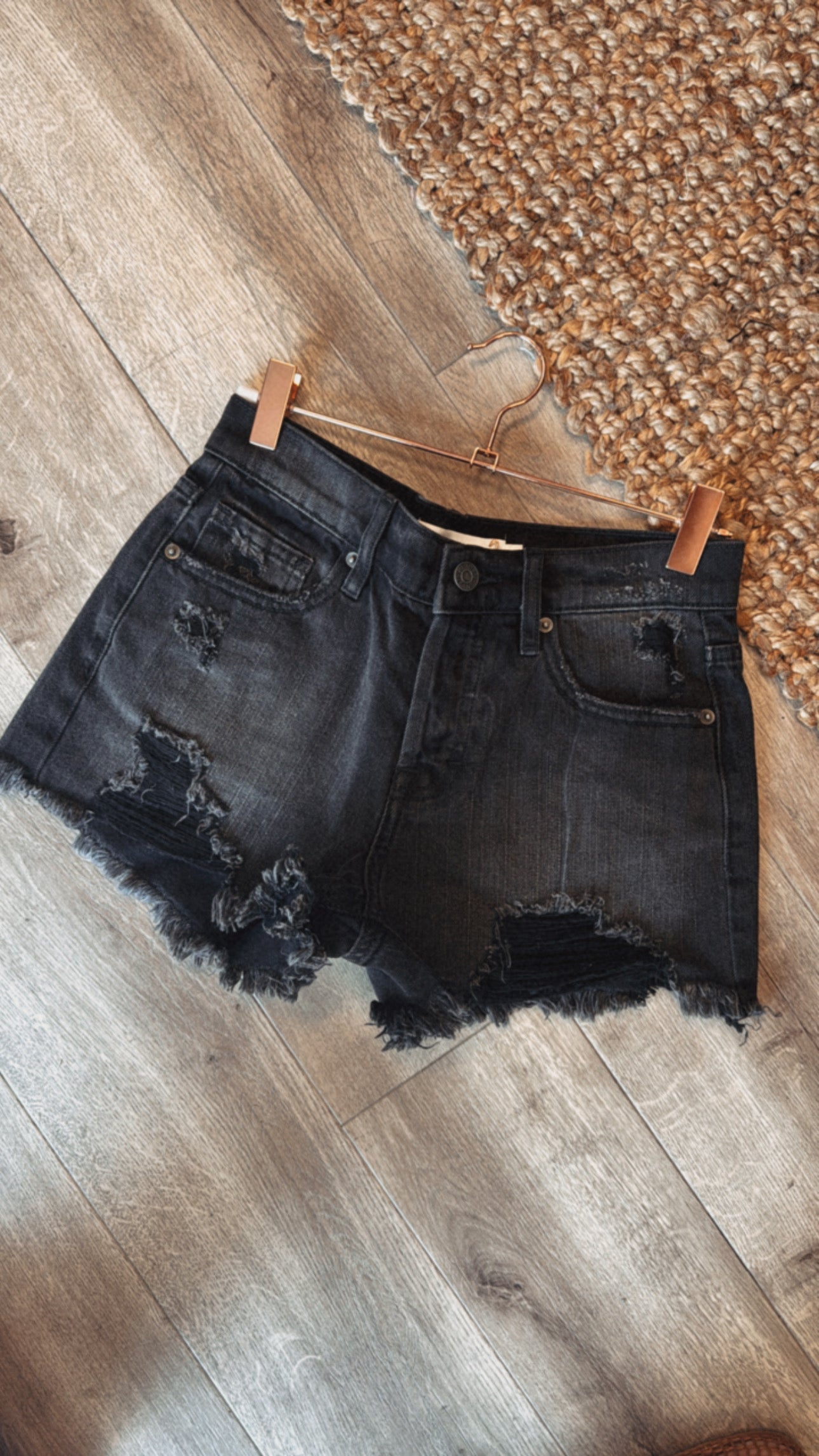 Dylan Denim Cut Off Shorts
