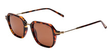 Riley Sunglasses - Tortoise