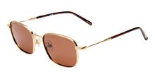 Quinn Sunglasses - Gold/Brown