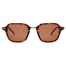 Riley Sunglasses - Tortoise