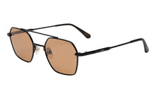 Sara Sunglasses - Black/Cocoa