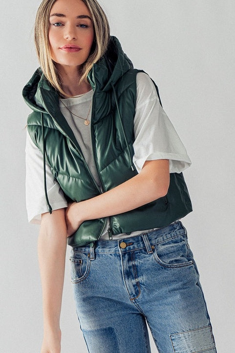 Heading South Chevron Puffer Vest - Forrest