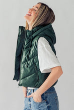 Heading South Chevron Puffer Vest - Forrest