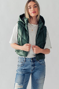 Heading South Chevron Puffer Vest - Forrest