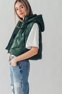 Heading South Chevron Puffer Vest - Forrest