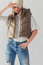 Heading South Chevron Puffer Vest - Chestnut