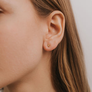 Star + Constellation Duo Studs